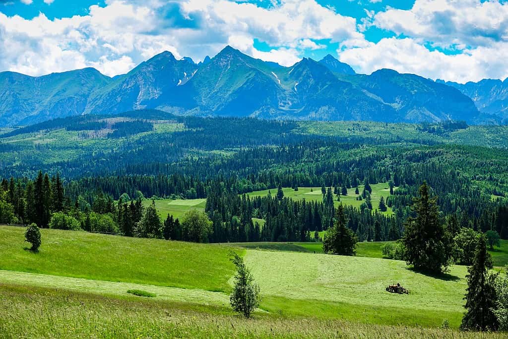 Widok na Tatry z Łapszanki — okolice Jurgowa latem